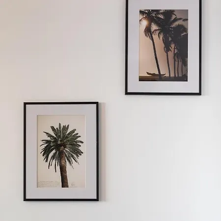 Apartment Beautiful In The Heart Of Nice